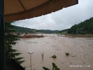 Guća, VII, junij 3, 19